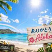 ヒメ日記 2026/06/30 11:38 投稿 まいこ 木更津人妻花壇