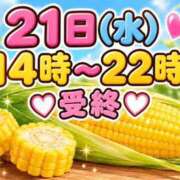ヒメ日記 2026/10/19 17:18 投稿 まいこ 木更津人妻花壇