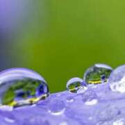 ヒメ日記 2025/03/11 10:53 投稿 かんな若奥 未熟な若奥