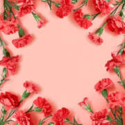 かんな若奥 またまた👀 未熟な若奥