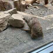 ヒメ日記 2025/05/26 15:04 投稿 めい 夜這専門発情する奥様たち 難波店