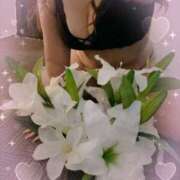 ヒメ日記 2025/09/25 20:47 投稿 めい 夜這専門発情する奥様たち 難波店