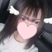 ヒメ日記 2025/03/31 20:28 投稿 みる はちみつ