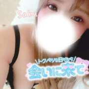 ヒメ日記 2025/04/08 18:06 投稿 さく One More 奥様　西船橋店