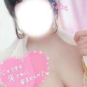 ヒメ日記 2025/11/10 19:29 投稿 さく One More 奥様　西船橋店