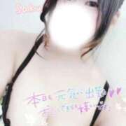 ヒメ日記 2025/11/21 13:16 投稿 さく One More 奥様　西船橋店