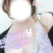 ヒメ日記 2025/12/05 20:38 投稿 さく One More 奥様　西船橋店