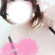 さく 収納〜 One More 奥様　西船橋店