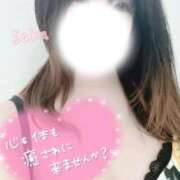 ヒメ日記 2026/05/20 14:49 投稿 さく One More 奥様　西船橋店