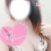 ヒメ日記 2026/09/02 14:29 投稿 さく One More 奥様　西船橋店