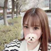 ヒメ日記 2025/03/30 06:20 投稿 みお チューリップ土浦店