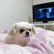 ヒメ日記 2026/01/16 12:24 投稿 みお チューリップ土浦店