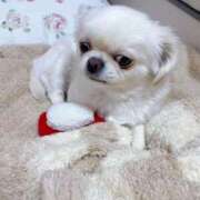 ヒメ日記 2026/01/17 09:44 投稿 みお チューリップ土浦店