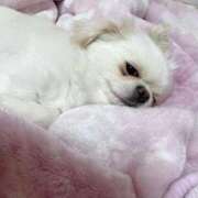 ヒメ日記 2026/01/18 14:14 投稿 みお チューリップ土浦店