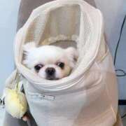 ヒメ日記 2026/01/19 17:48 投稿 みお チューリップ土浦店