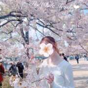 ヒメ日記 2026/04/19 15:30 投稿 てんし The White