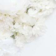 てんし 📮お知らせ-`📢⋆ 🦢₊✧① The White（ザ ホワイト）