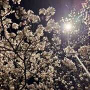 ヒメ日記 2025/04/02 17:26 投稿 りな 大阪回春性感エステティーク谷九店