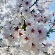 ヒメ日記 2025/04/10 14:41 投稿 りな 大阪回春性感エステティーク谷九店