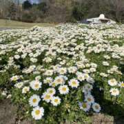 ヒメ日記 2025/05/07 15:16 投稿 りな 大阪回春性感エステティーク谷九店