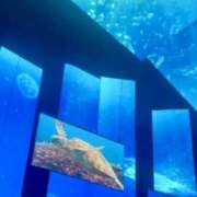 ヒメ日記 2025/09/27 16:26 投稿 りな 大阪回春性感エステティーク谷九店