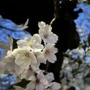 ヒメ日記 2026/04/06 16:12 投稿 りな 大阪回春性感エステティーク谷九店