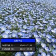 ヒメ日記 2026/04/24 09:32 投稿 りな 大阪回春性感エステティーク谷九店
