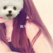 ヒメ日記 2025/04/22 12:18 投稿 観月るな SCREEN(スクリーン)