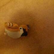 ヒメ日記 2025/03/13 16:58 投稿 希 石亭