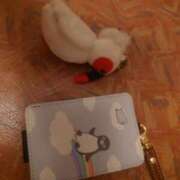 ヒメ日記 2025/06/13 16:09 投稿 希 石亭