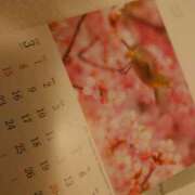 ヒメ日記 2025/12/22 15:21 投稿 希 石亭