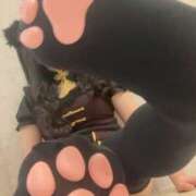 ヒメ日記 2025/02/21 12:21 投稿 なおこ ハピネス東京 吉原店