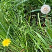 ヒメ日記 2025/04/07 21:46 投稿 なおこ ハピネス東京 吉原店