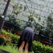 ヒメ日記 2025/04/08 22:06 投稿 なおこ ハピネス東京 吉原店