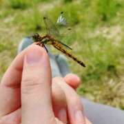 ヒメ日記 2025/08/09 10:46 投稿 なおこ ハピネス東京 吉原店