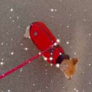 ヒメ日記 2024/12/14 22:57 投稿 くみ One More 奥様　五反田店