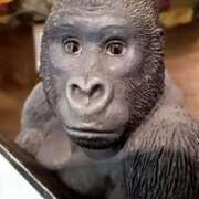 さら しゅっきーん❤ 宮崎ちゃんこ都城店