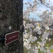 あや こんにちは😊🌸 横浜おかあさん