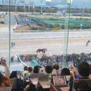 ヒメ日記 2025/01/04 11:51 投稿 きみ ぷよラブ れぼりゅ～しょん