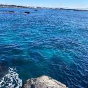 ヒメ日記 2025/03/25 18:08 投稿 きみ ぷよラブ れぼりゅ～しょん