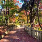 きみ 間違えました！＼( 'ω')／泣 ぷよラブ れぼりゅ～しょん