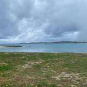 ヒメ日記 2025/12/21 16:55 投稿 きみ ぷよラブ れぼりゅ～しょん