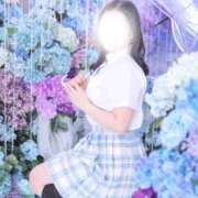 なみ ご報告 ニュー不夜城