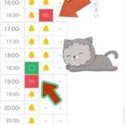 ヒメ日記 2026/04/11 13:02 投稿 みさき【零れ落ちる可愛さ♡】 LIPS(リップス)