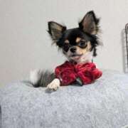 ヒメ日記 2025/10/11 10:47 投稿 おひめ IRIS一宮