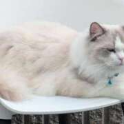 ヒメ日記 2025/11/09 18:07 投稿 おひめ IRIS一宮