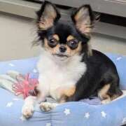 ヒメ日記 2025/11/12 10:47 投稿 おひめ IRIS一宮