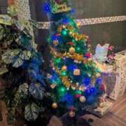 ヒメ日記 2025/11/17 15:17 投稿 おひめ IRIS一宮