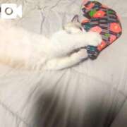 ヒメ日記 2025/12/04 18:17 投稿 おひめ IRIS一宮