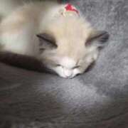 ヒメ日記 2025/12/13 23:19 投稿 おひめ IRIS一宮